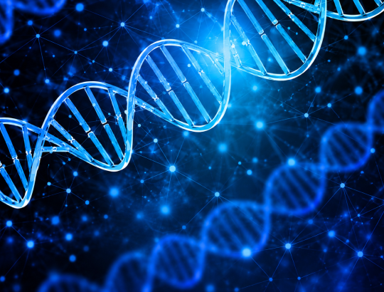 Гены BRCA1 и BRCA2: как узнать о наследственной предрасположенности к раку